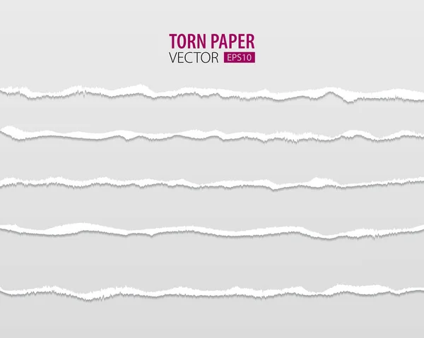 Yırtık kağıt kenarları. Web ve yazdırma için saydam arkaplan üzerinde yırtık kenarlı vektör yırtık kağıt.