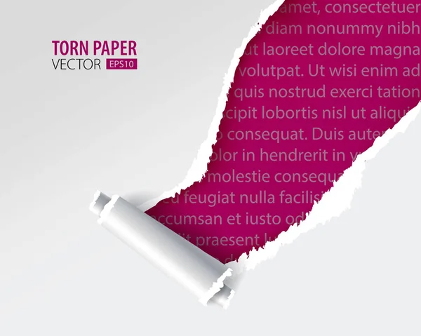 Yırtık kağıt delikleri. Web ve yazdırma için bir renk arkaplanı üzerinde kağıt sayfasında delik.