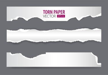 Yırtık kenarlı kağıtlar. Yırtılmış beyaz kağıt parçaları ve ağ ve baskı için yumuşak gölgeler.