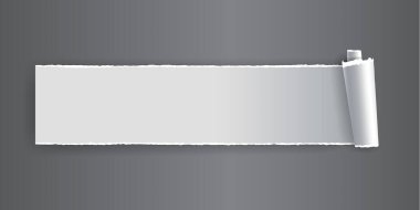 Yırtık kenarlı kağıt şerit. Yırtılmış beyaz kağıt parçası ve ağ ve baskı için yumuşak gölge.