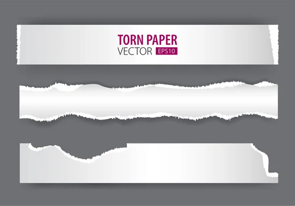 Papers strips with torn edges. Pieces of ripped white paper and soft shadow for web and print.