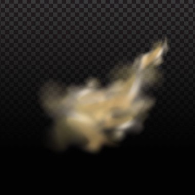 Toz bulutu, kum fırtınası, şeffaf arkaplanda barut spreyi. Çöl rüzgarı, toz ve kum bulutu. Gerçekçi vektör illüstrasyonu.