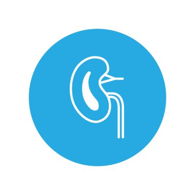 Böbrek, hat ikonu. Modern bilgi logosu ve pictogram.