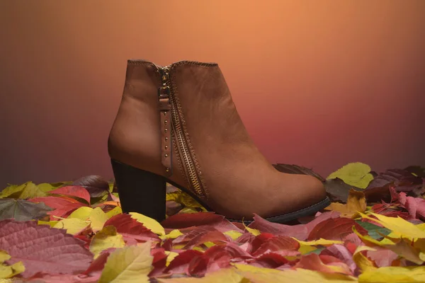 Zapatos Otoño Mujer Señora — Foto de Stock