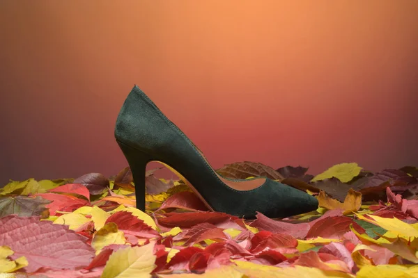 Autumn shoes, woman, lady