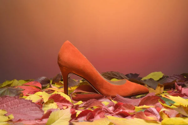 Autumn shoes, woman, lady