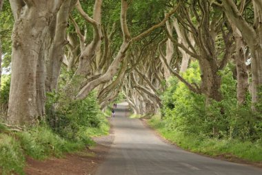 Noord-Oosten van Ierland