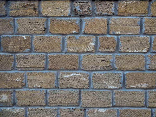 Mur de fond avec roche coquille. Un vieux mur. Texture calcaire. Texture — Photo