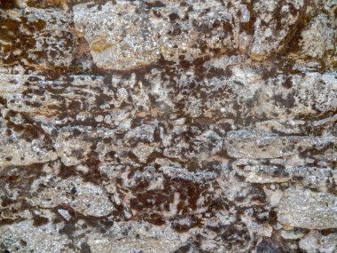 Kum taşı dokusu. Doğal şekilli kumtaşı eşsiz bir doku ve zemin yaratır..