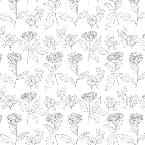 Sömlös Blommönster Med Växter Illustration — Stock vektor