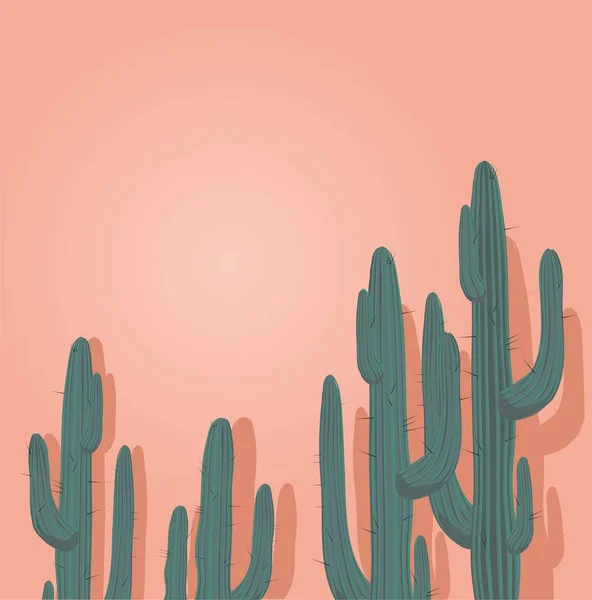 Cactuses Terisolasi Ilustrasi Vektor Latar Belakang Putih - Stok Vektor