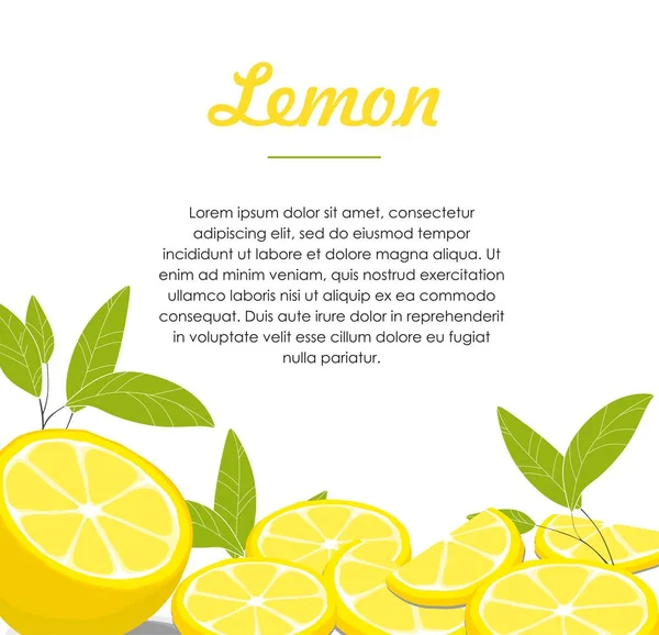 Zitrone Und Scheiben Mit Blatt Isoliert Auf Weißem Hintergrund — Stockvektor