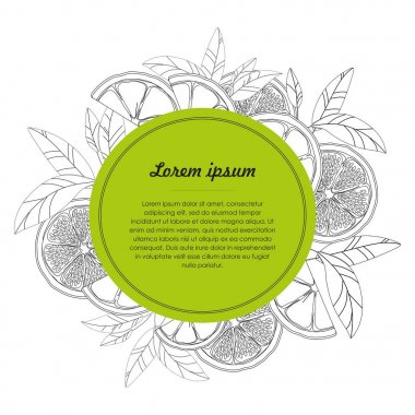  El narenciye meyve beyaz arka plan üzerinde izole çizilmiş şablonu. Vektör çizim