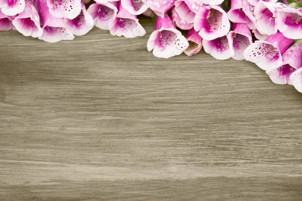 Tahta arka planda güzel çiçekler