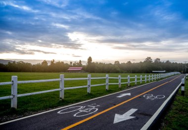 Koyun ve alacakaranlık yol bisikleti