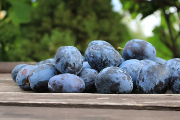 Freshly picked organic ripe delicious blue plums on the old wooden background, selective focus. Blurred background — Stock Photo, Image