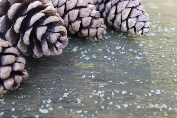 Christmas background with pine cones in vintage tone — Stock Photo, Image