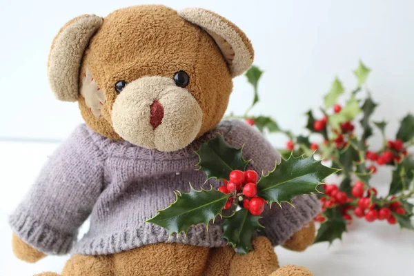 Teddy Bear wearing a grey knitted sweater with holly leaves and berries.Creative for colourful greeting card with copy space. Merry Christmas — Stock Photo, Image