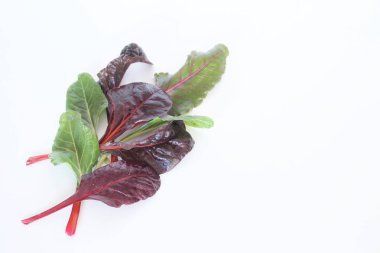 Mangold beyaz zemin üzerine bırakır. Yeşil ve kırmızı taze karışımı yaprakları salata için malzemeler. Diyet ve sağlıklı gıda kavramı. Sebze arka plan, üstten görünüm, kare görüntü. Metin için boş alan.