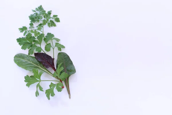 Farklı salata beyaz zemin üzerine bırakır. Yeşil yaprakları, salata için malzemeler taze karışımı. Diyet ve sağlıklı gıda kavramı. Sebze arka plan, üstten görünüm. Metin için boş alan. — Stok fotoğraf