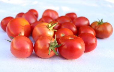 Etli olgun taze kırmızı domates arka plan bulanık ile organik bahçe beyaz pamuklu kumaş üzerine grup. Sağlıklı çiğ gıda içerikler.