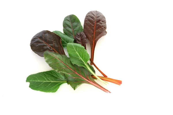 Mangold beyaz zemin üzerine bırakır. Yeşil ve kırmızı taze karışımı yaprakları salata için malzemeler. Diyet ve sağlıklı gıda kavramı. Sebze arka plan, üstten görünüm. Metin için boş alan. — Stok fotoğraf