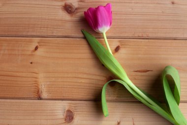 Pembe Lale havai görünümü kopya alanı ile ahşap arka plan üzerinde. Lale kapatın. Selam alanı ile Paskalya kartı.