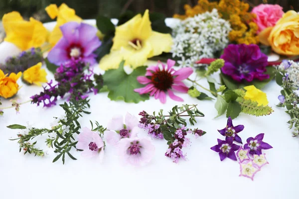 Collezione di fiori commestibili isolata su sfondo bianco. Vista dall'alto. Sfondo sfocato . — Foto Stock