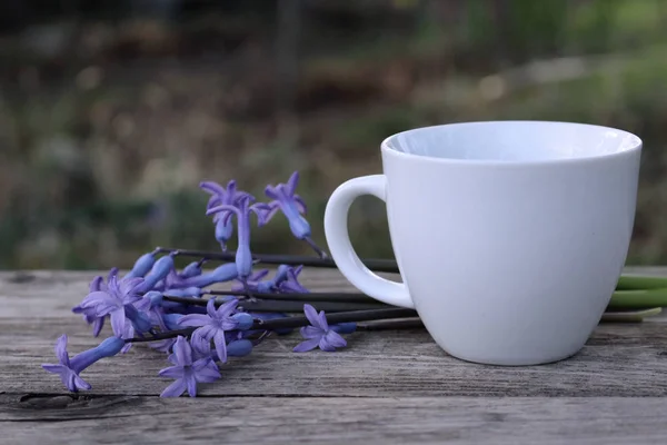 Reggel forró a kávé, a bögre és a kis kék virág Jácint a fa asztal. Elmosódott háttér. — Stock Fotó
