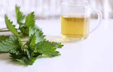 Taze yeşil ısırgan ve bir açık cam bardak bitkisel ısırgan otu çay yaprakları bir beyaz tahta masada. Tıbbi bitki. Sağlıklı beslenme kavramı.