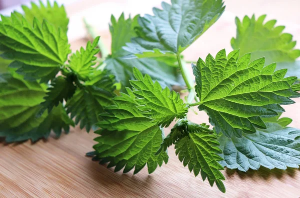 Ortiga o hojas de urtica aisladas sobre fondo de madera.Planta medicinal. El concepto de nutrición saludable . —  Fotos de Stock