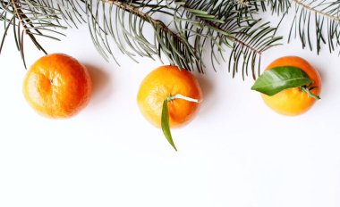 Noel aralığı. Ağaç dalları olan taze çiğ organik mandalinalar, beyaz masa arkasında izole edilmiş. Kış dekorasyonu. Düz yatıyordu, üst.
