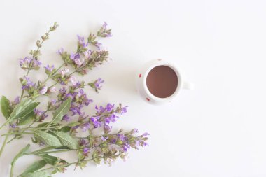 Adaçayı ve adaçayı yaprakları. Adaçayı yapraklarından yapılan bir karışım. Şifalı bitki Salvia officinalis, sağlıklı beslenme kavramı..