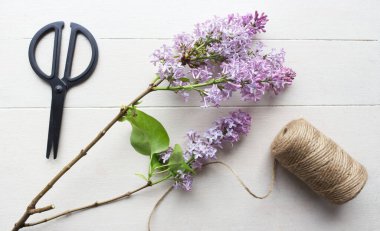 Çiçekçi işyeri. Güzel leylak, makas ve ip beyaz ahşap bir masa üzerinde. Doğa konsepti.