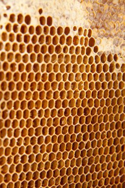 bal tarak arka plan veya doku