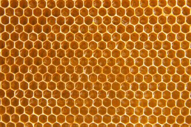 bal tarak arka plan veya doku