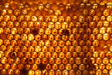 bal tarak arka plan veya doku