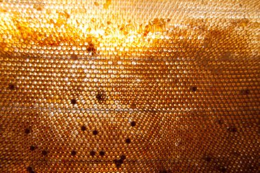 bal tarak arka plan veya doku