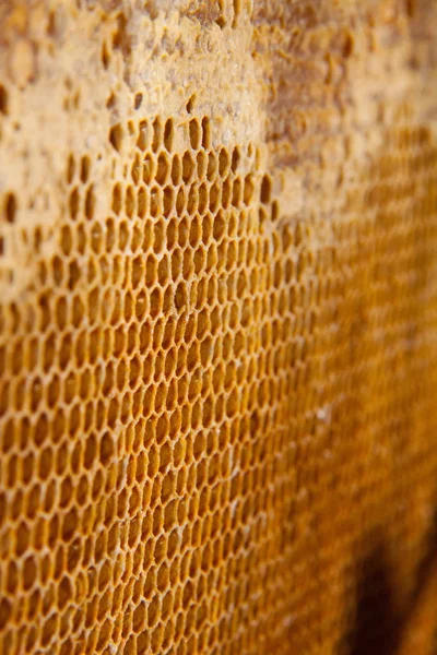 bal tarak arka plan veya doku