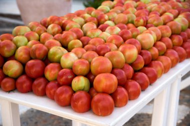 Çevre dostu çiftçi domates satış için masaya yerleştirilir. Crete, Yunanistan.