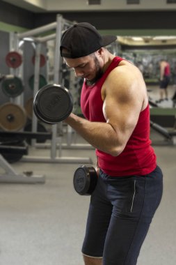 Dambıllarla egzersiz yapan genç bir adam. Güçlü adam spor salonunda bisepsi çalıştırıyor..