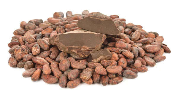 Природные какао — стоковое фото