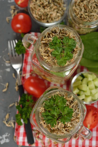 Dieet salade met tarwe spruiten — Stockfoto