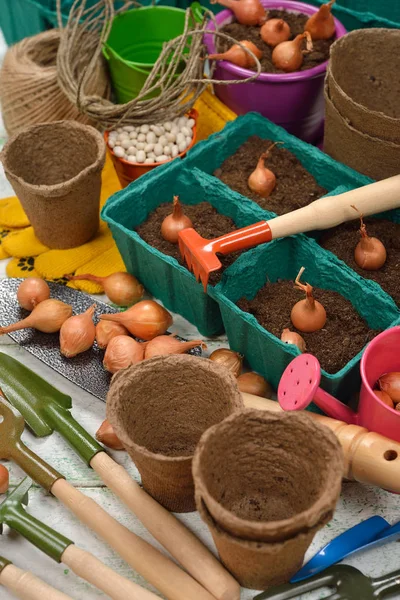 Attrezzi da giardino da vicino — Foto Stock