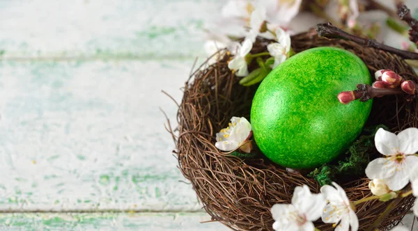 Zöld húsvéti tojás egy fészekben — Stock Fotó