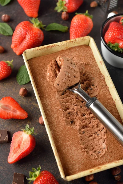 Gelato al cioccolato naturale — Foto Stock