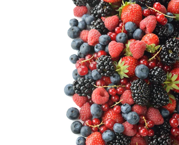 신선한 숲 딸기 — 스톡 사진