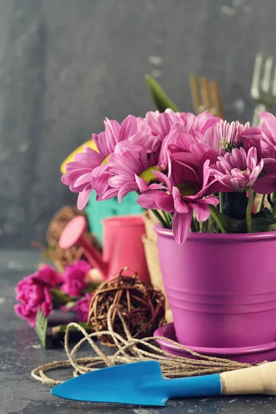 Attrezzi da giardino e fiori — Foto Stock