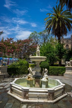 Parlak güneşli bir günde arka planda palmiye ağacı ile su Çeşmesi 