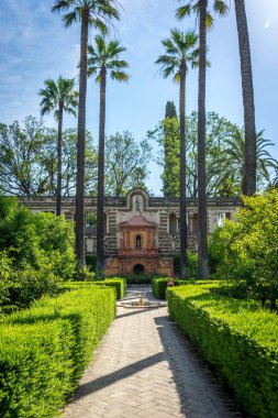 Sevilla, İspanya, Avrupa'nın Alcazar Bahçe uzun palmiye ağaçlarında